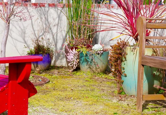 Custom landscaping services with custom design across Sacramento, CA - Roo Landscaping and Garden Care