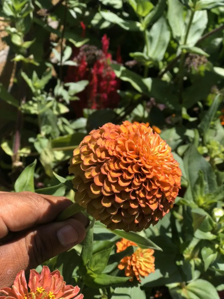 Trusted outdoor landscaping for year-round maintenance across Kenosha, WI - Roo Landscaping