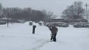 Top-rated landscaping services for residential properties across Lincoln, NE - Roof to Roots