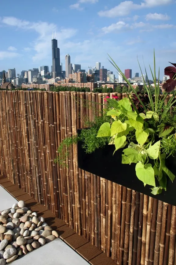 Top-rated landscape design in Chicago, IL by Rooftopia