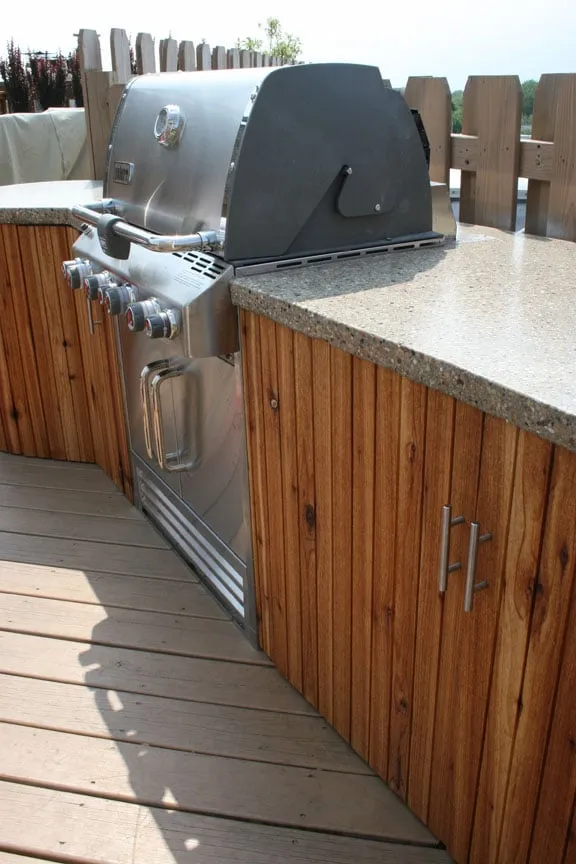 Professional landscaping services for homes in Chicago, IL by Rooftopia