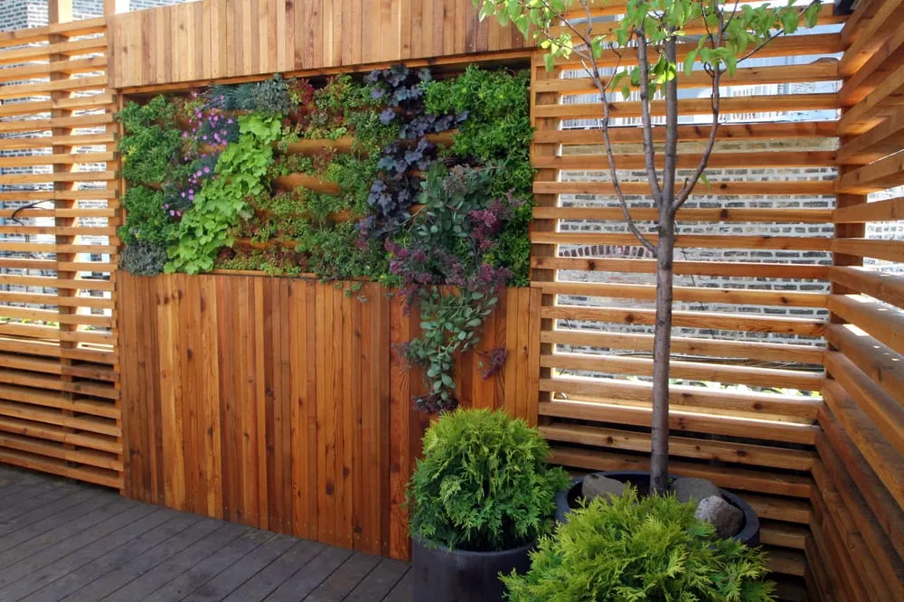 Custom lawn mowing service for residential properties in Chicago, IL by Rooftopia