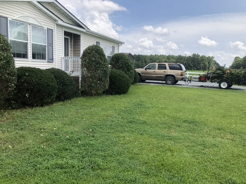 Professional yard cleanup service in Dunn, NC by Rooks Lawn Care