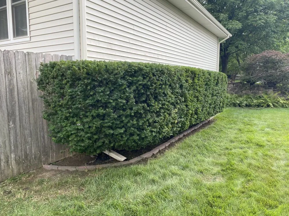 Professional residential landscaping with custom design in Martell, NE by Room to Grow