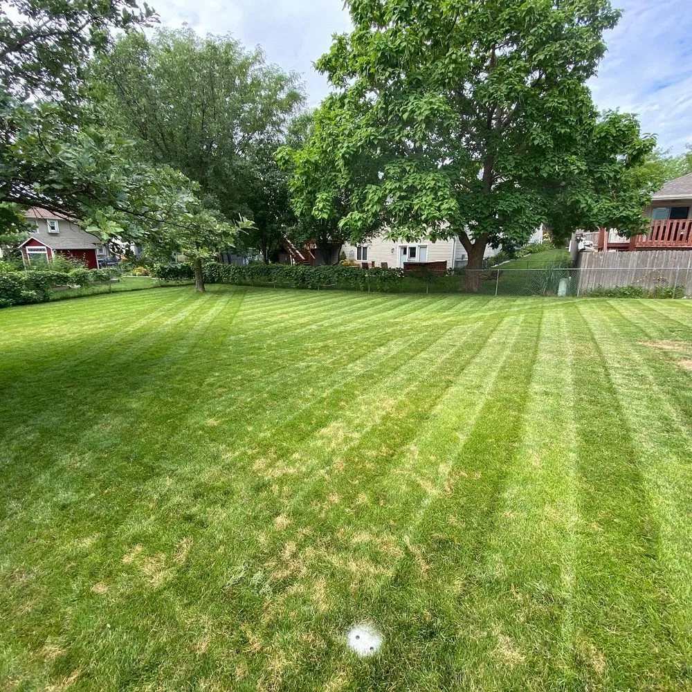 Professional lawn care service for outdoor upgrades across Martell, NE - Room to Grow