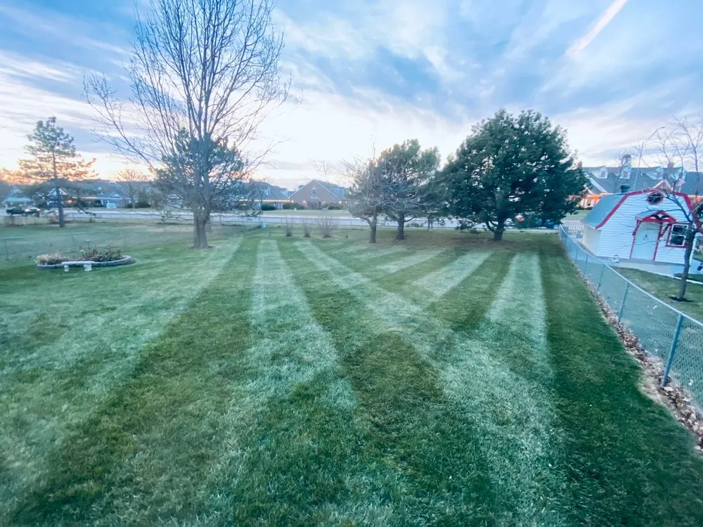 Affordable lawn care service in Martell, NE - Room to Grow