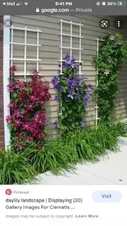 Affordable residential landscaping in Palatine, IL - Rooney Landscape