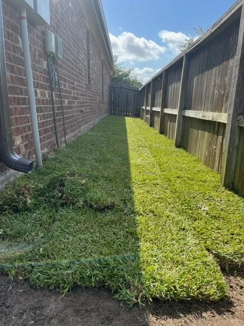 Custom yard maintenance experts serving Tomball, TX - Rooney Residential Services