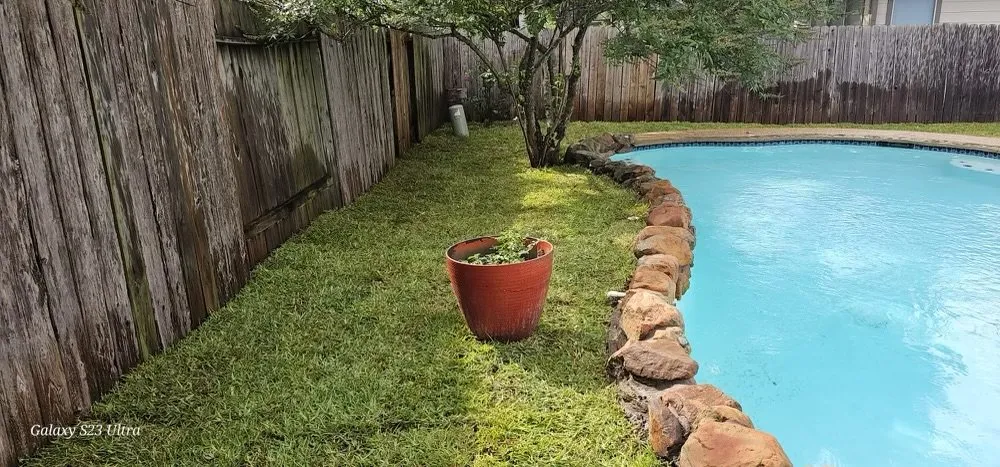 Trusted lawn care service for beautiful yards in Tomball, TX by Rooney Residential Services