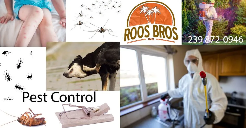 Expert landscape installation for beautiful yards in North Fort Myers, FL by Roos Bros