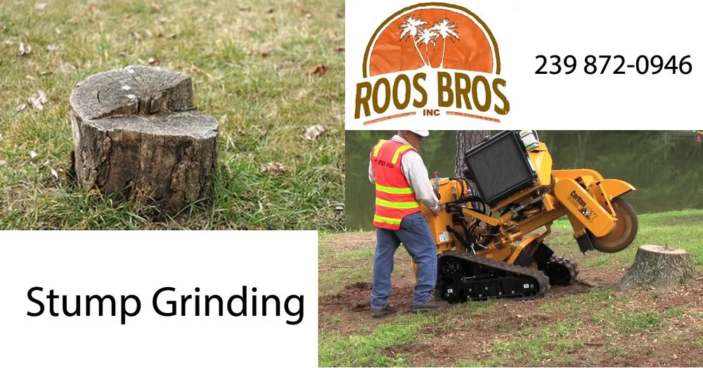 Expert yard maintenance for residential properties in North Fort Myers, FL by Roos Bros