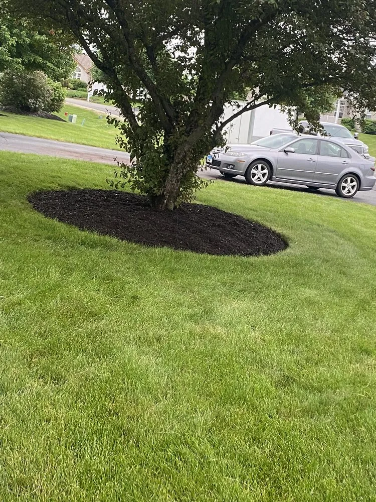 Trusted yard cleanup service for outdoor upgrades across Johnsburg, IL - Roos Lawn Care