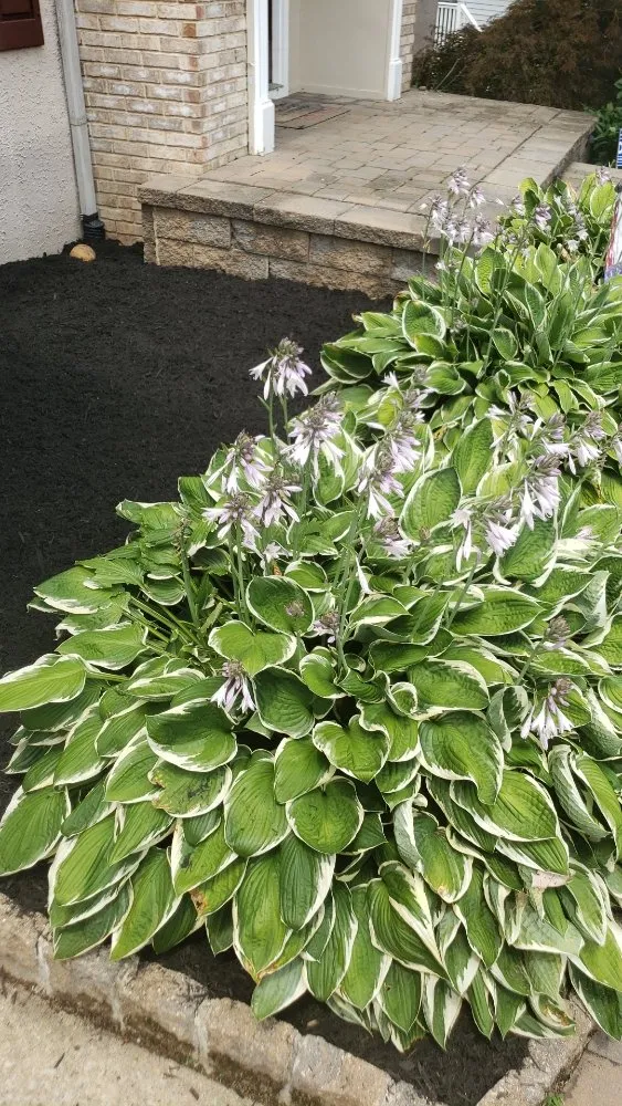 Professional landscape design in Vineland, NJ by ROOST IN THE GROUND LANDSCAPING