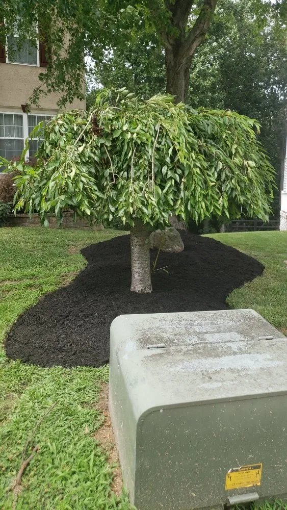 Trusted landscape design for beautiful yards in Vineland, NJ by ROOST IN THE GROUND LANDSCAPING