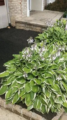 ROOST IN THE GROUND LANDSCAPING Logo