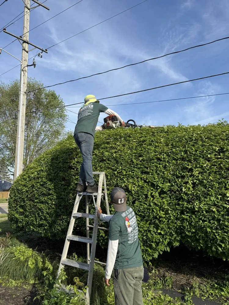 Professional yard maintenance in South Vienna, OH - Rooster Landscaping