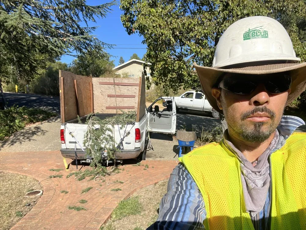 Affordable landscaping services in Menlo Park, CA by Roosters Landscape And Tree Care