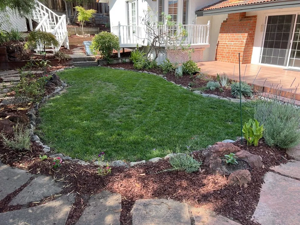 Reliable yard maintenance in Menlo Park, CA by Roosters Landscape And Tree Care