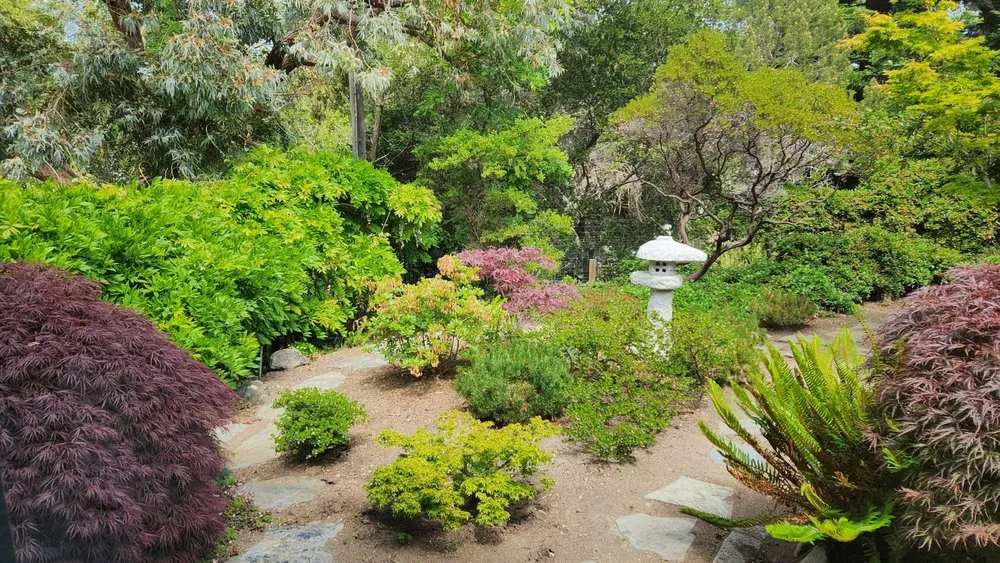 Expert yard maintenance in Menlo Park, CA - Roosters Landscape And Tree Care