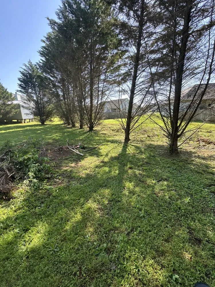 Custom yard cleanup service in Anniston, AL - Rooster's Landscape Services