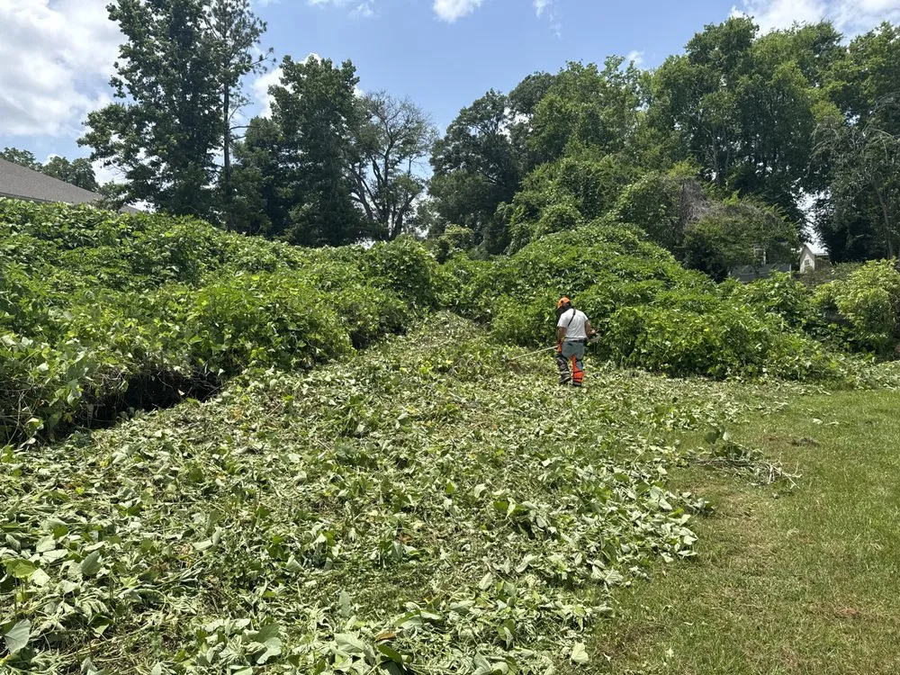 Trusted landscaping services for residential properties across Anniston, AL - Rooster's Landscape Services