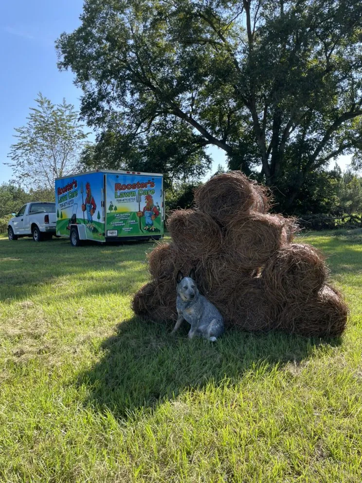 Affordable yard maintenance experts serving Augusta, GA - Rooster's Lawn Care