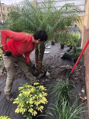 Top-rated lawn care service in Lakeland, FL by Rooster's Restorations