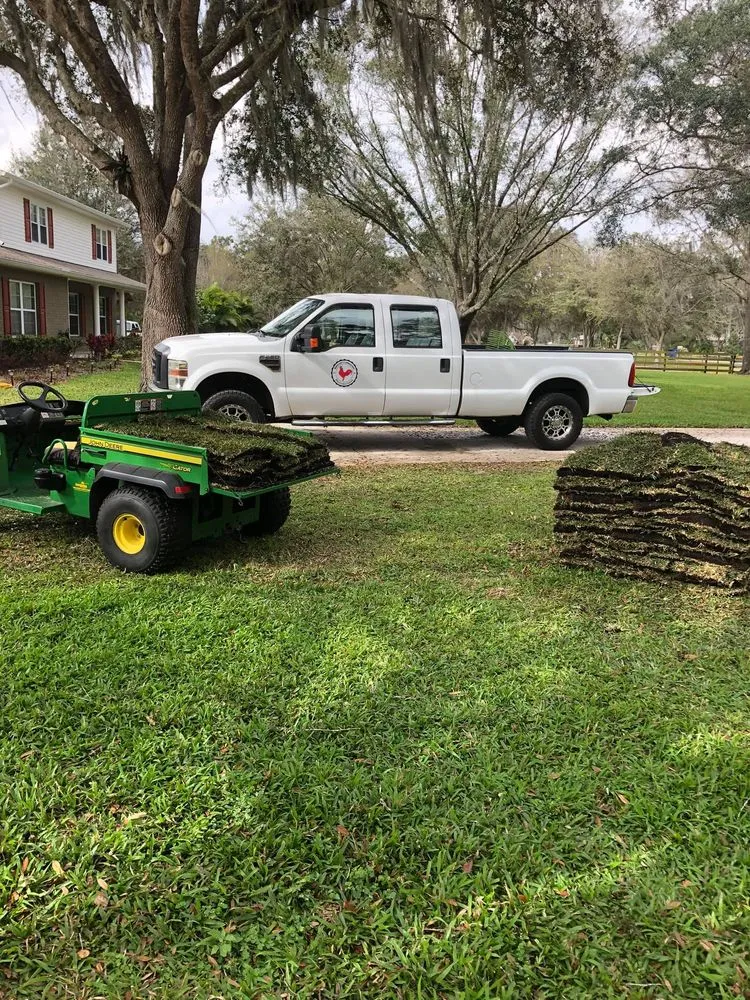 Expert lawn mowing service in Lakeland, FL - Rooster's Restorations