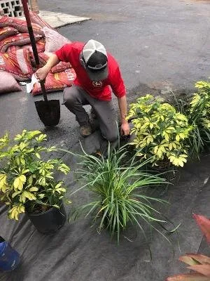 Affordable landscape design for homes across Lakeland, FL - Rooster's Restorations