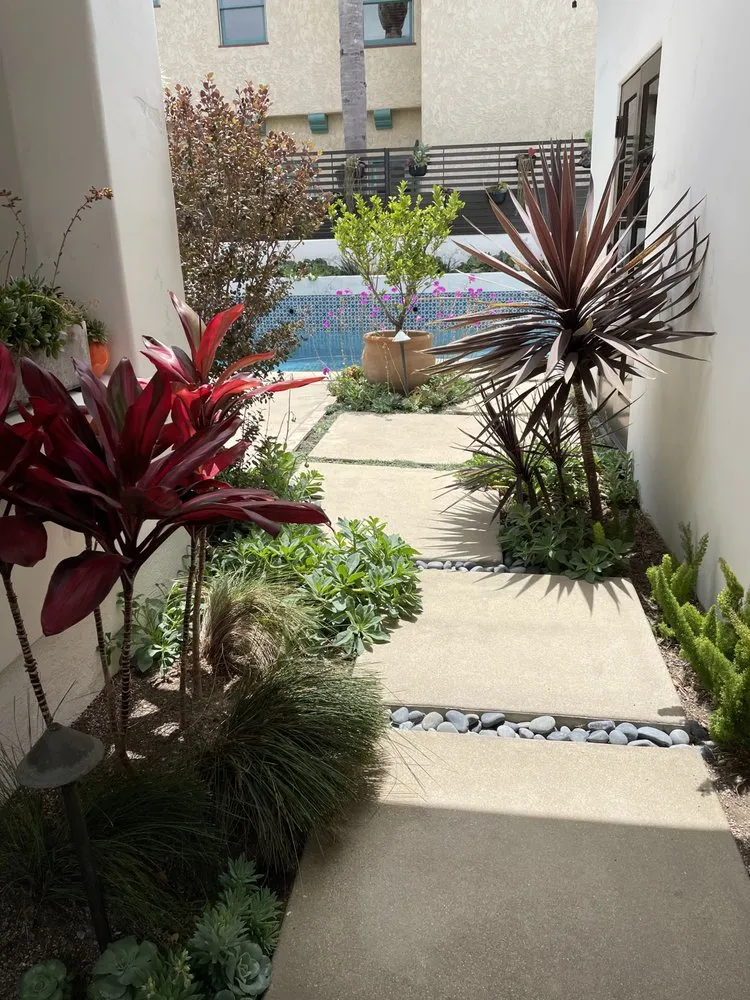 Reliable landscape installation experts serving Long Beach, CA - Root & Branch Landscapes