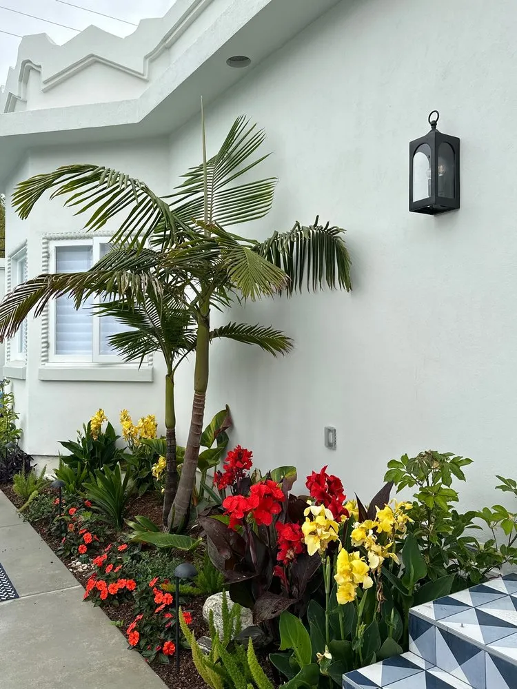 Trusted residential landscaping experts serving Long Beach, CA - Root & Branch Landscapes