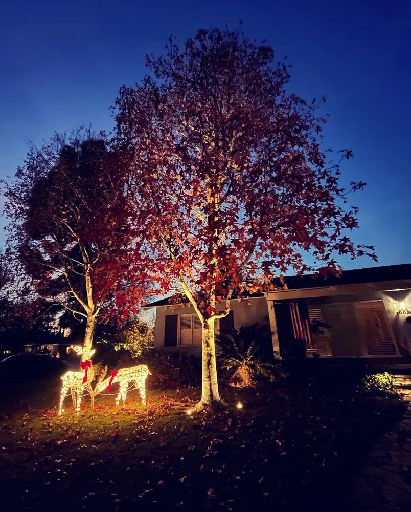 Expert residential landscaping in Torrance, CA by Root & Crown Landscape