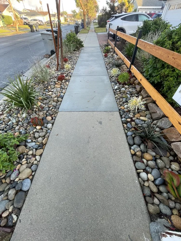 Affordable yard maintenance in Torrance, CA by Root & Crown Landscape