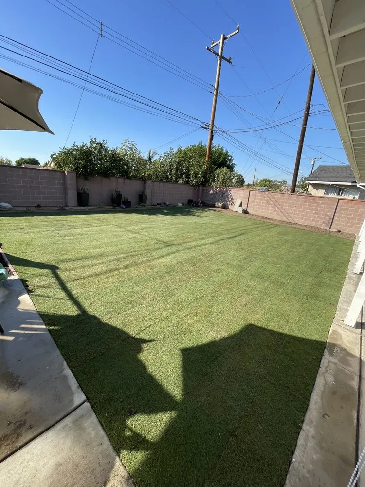 Reliable yard cleanup service in Torrance, CA - Root & Crown Landscape