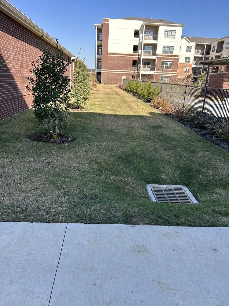 Reliable lawn mowing service in Aubrey, TX - Root & Reign