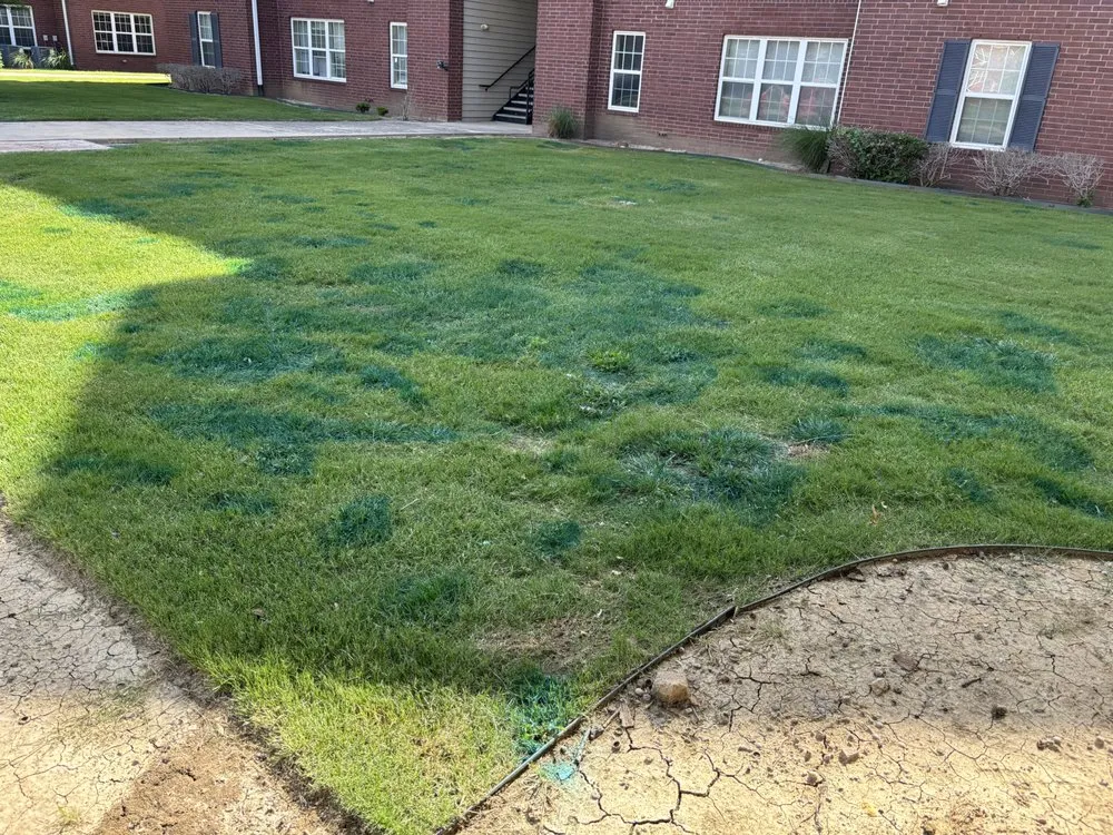 Local yard maintenance in Aubrey, TX by Root & Reign