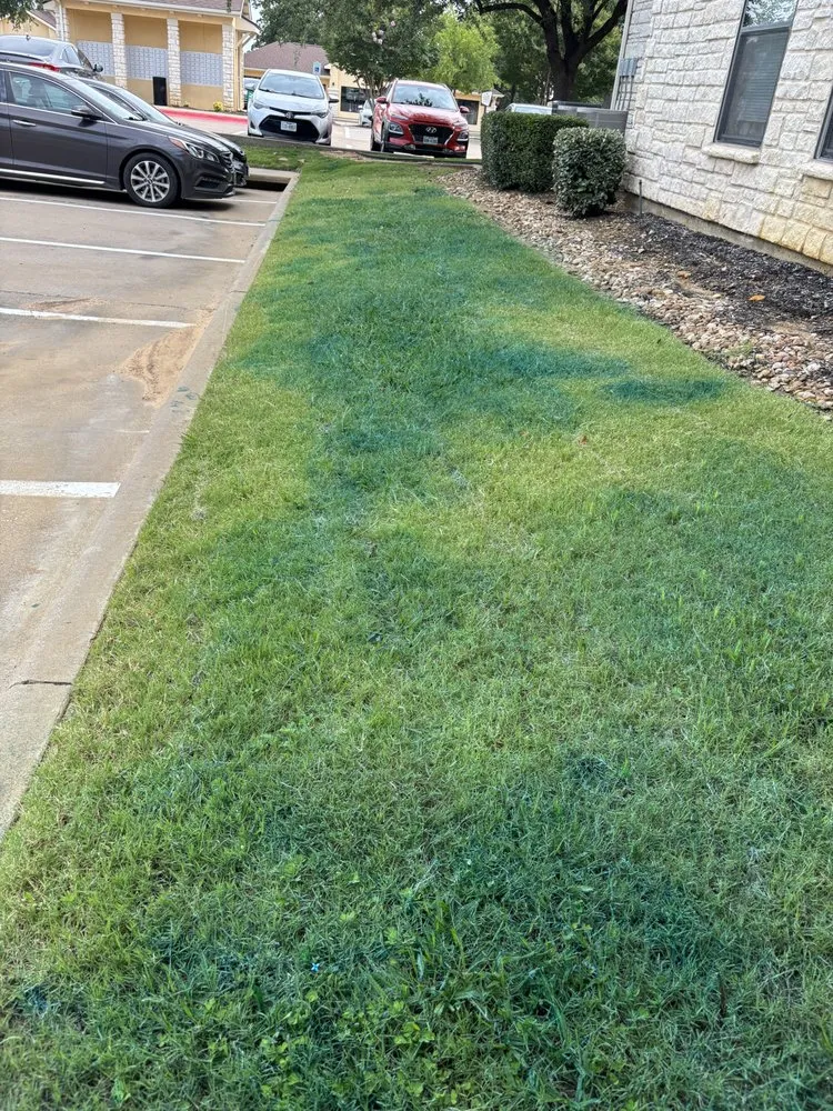 Expert landscape design for outdoor upgrades across Aubrey, TX - Root & Reign