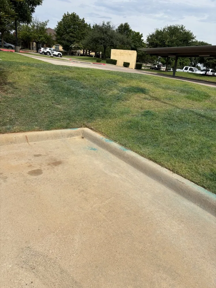 Local yard cleanup service in Aubrey, TX - Root & Reign