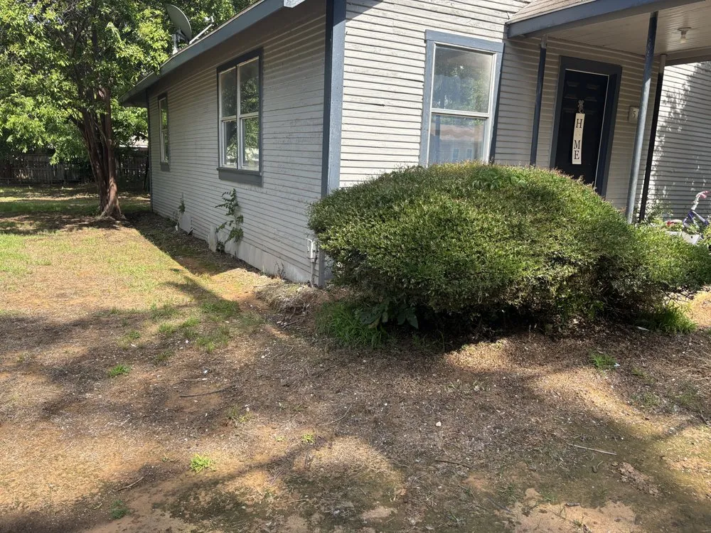 Local yard cleanup service experts serving Aubrey, TX - Root & Reign