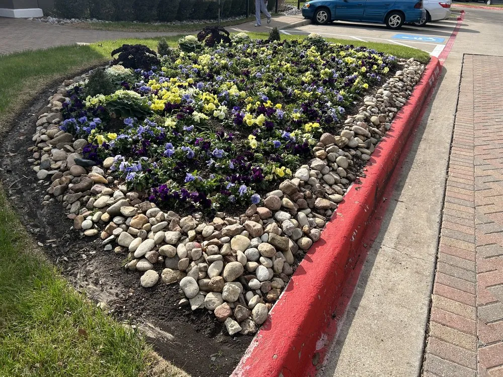 Reliable garden landscaping experts serving Aubrey, TX - Root & Reign