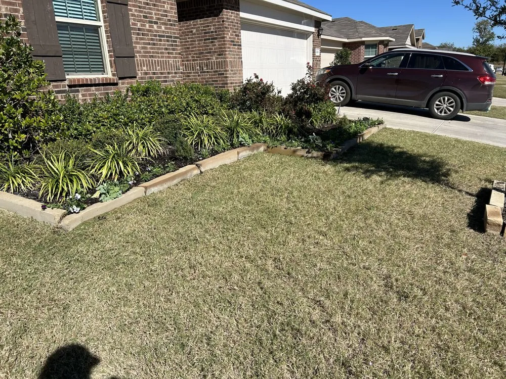 Professional yard cleanup service in Aubrey, TX by Root & Reign