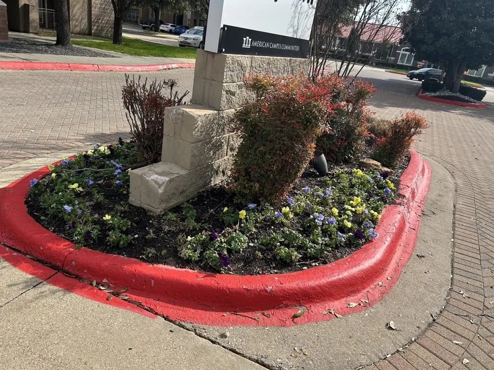 Trusted lawn mowing service in Aubrey, TX - Root & Reign