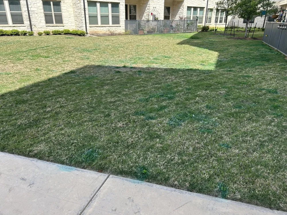 Local landscape design experts serving Aubrey, TX - Root & Reign