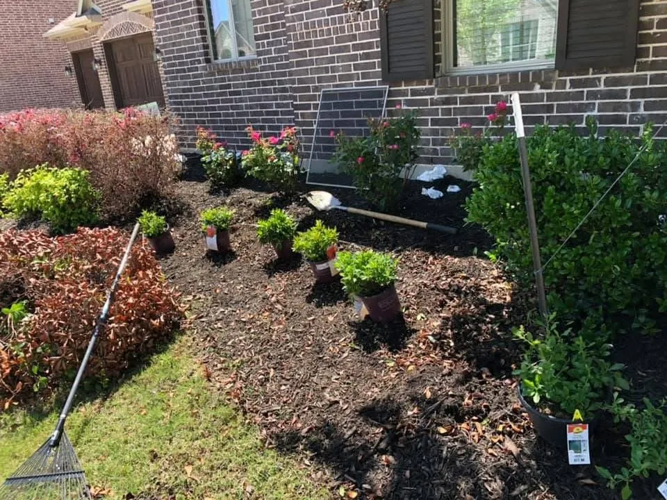 Professional lawn care service in Aubrey, TX by Root & Reign