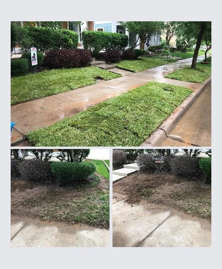 Local garden landscaping in Aubrey, TX by Root & Reign