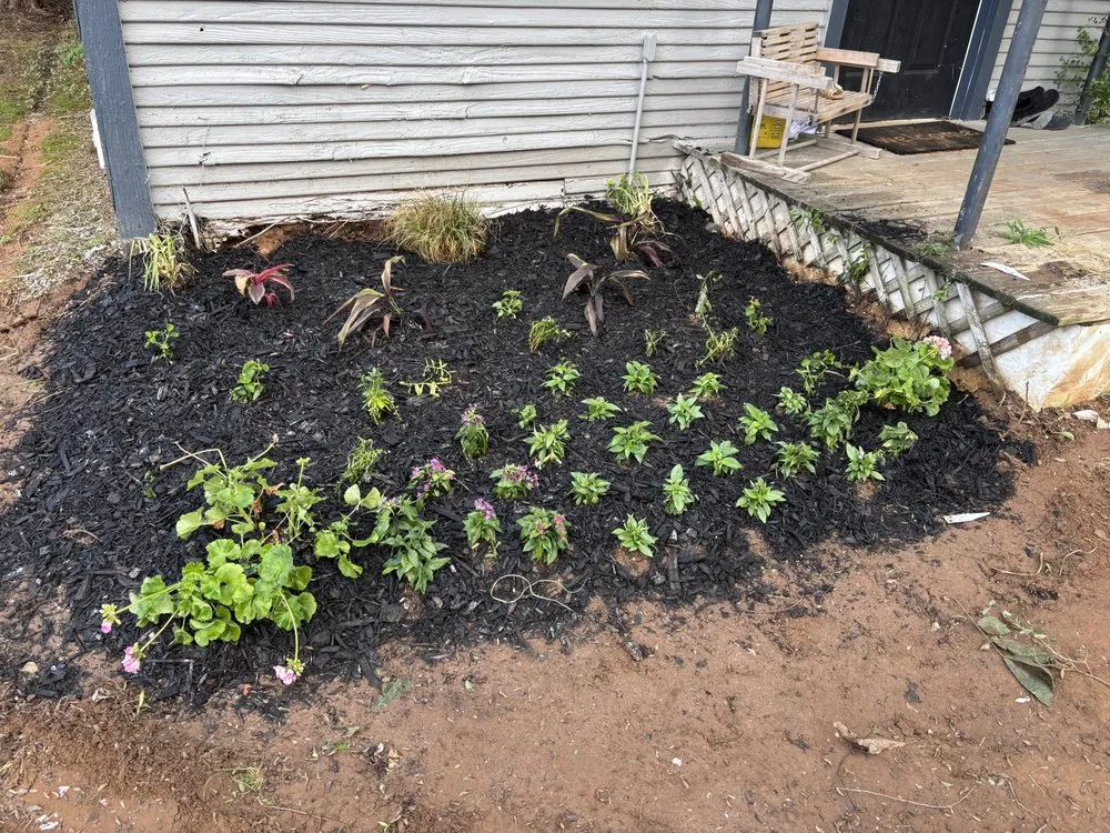 Professional garden landscaping in Aubrey, TX by Root & Reign