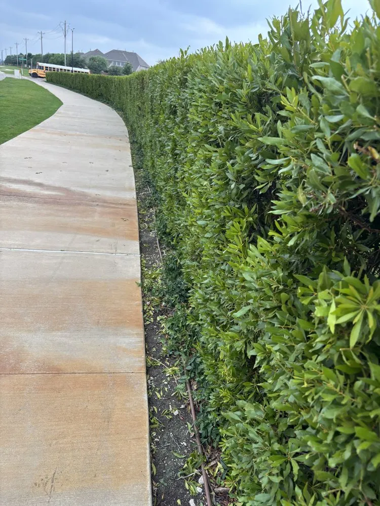 Top-rated landscaping services experts serving Aubrey, TX - Root & Reign