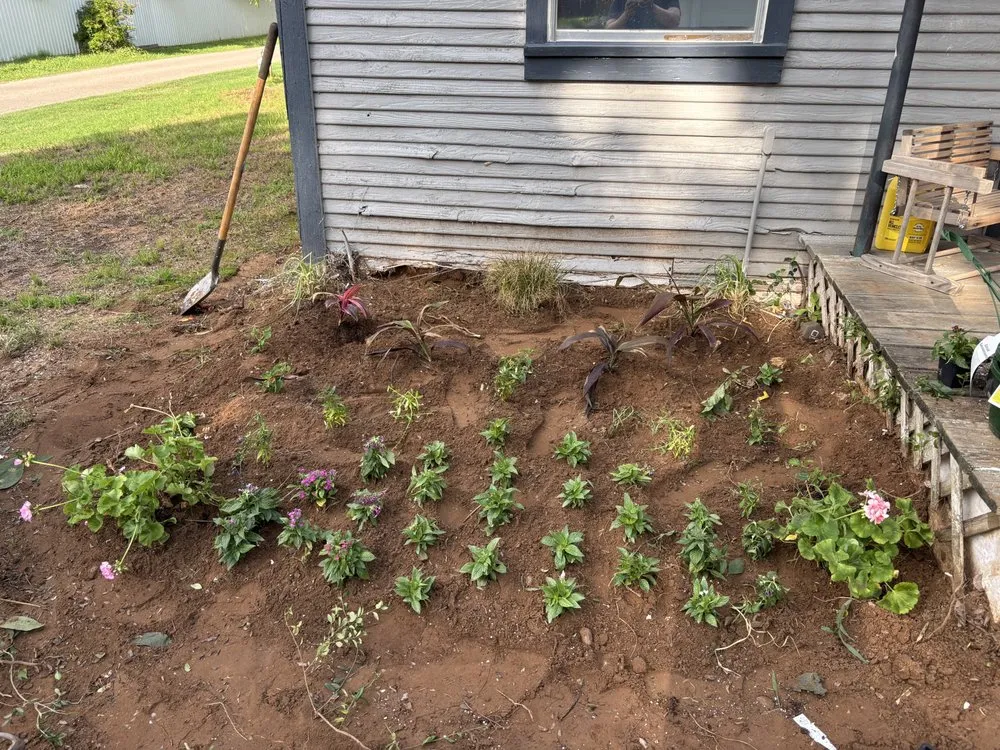 Custom yard maintenance in Aubrey, TX - Root & Reign