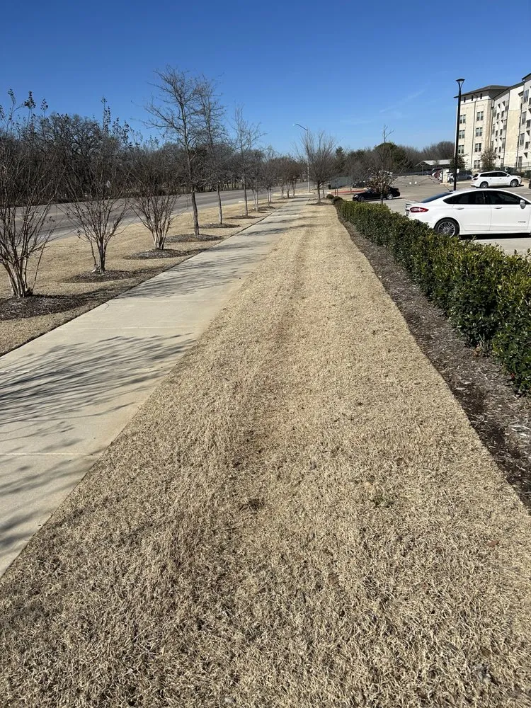 Affordable yard maintenance in Aubrey, TX by Root & Reign
