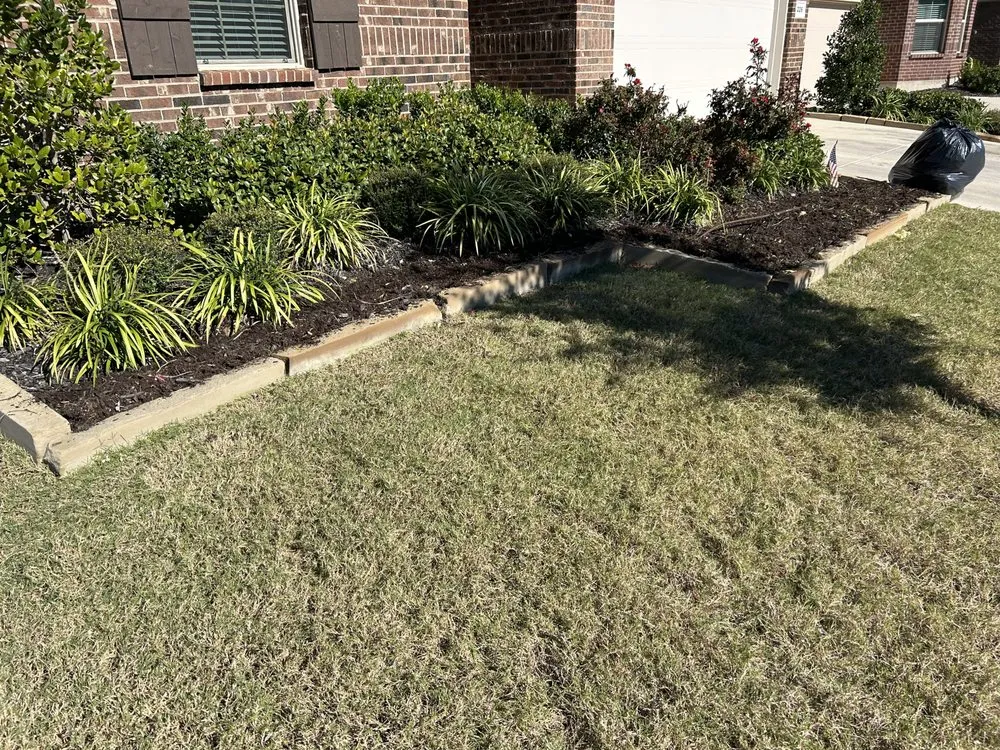 Custom landscaping services in Aubrey, TX by Root & Reign